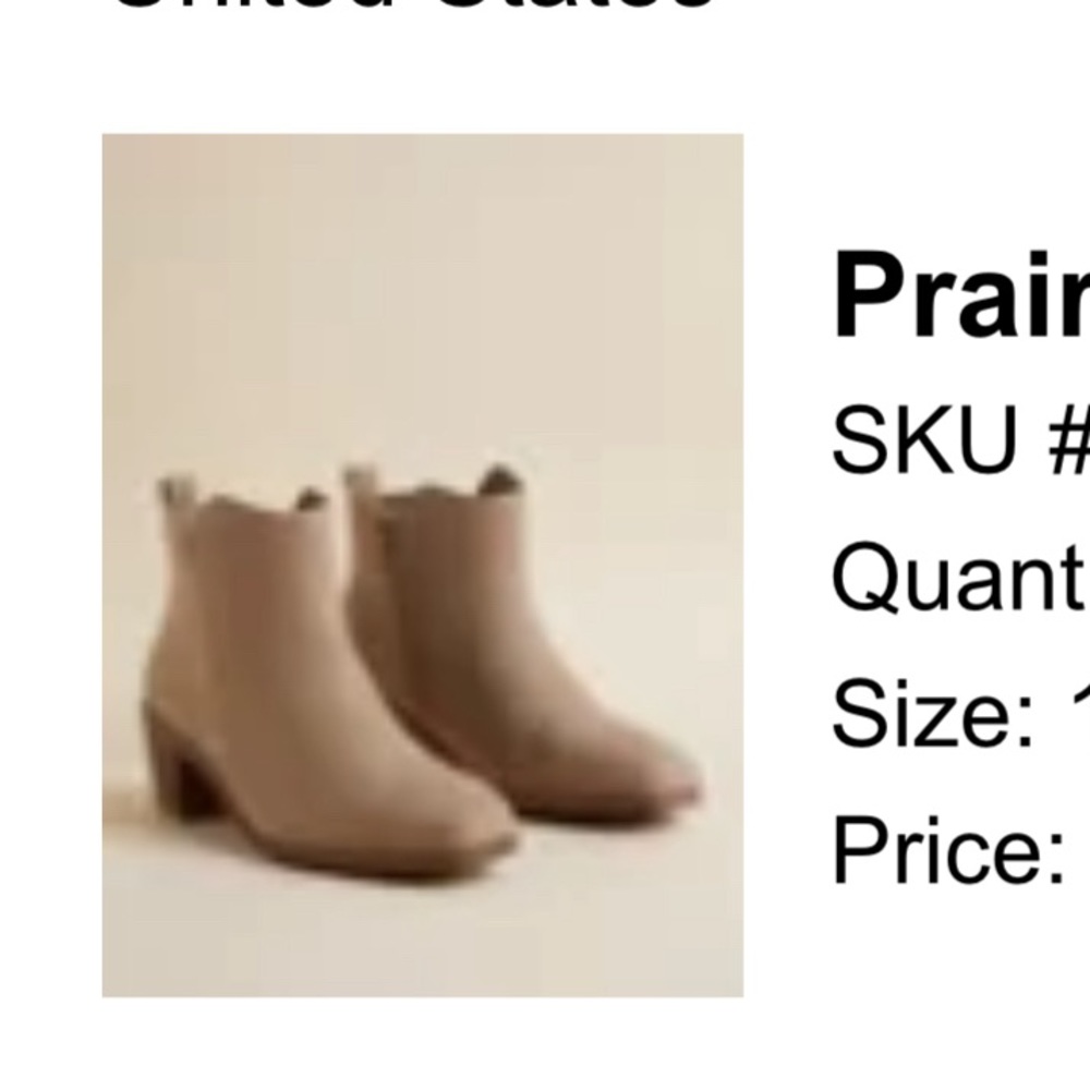 Size 11WW torrid boots
